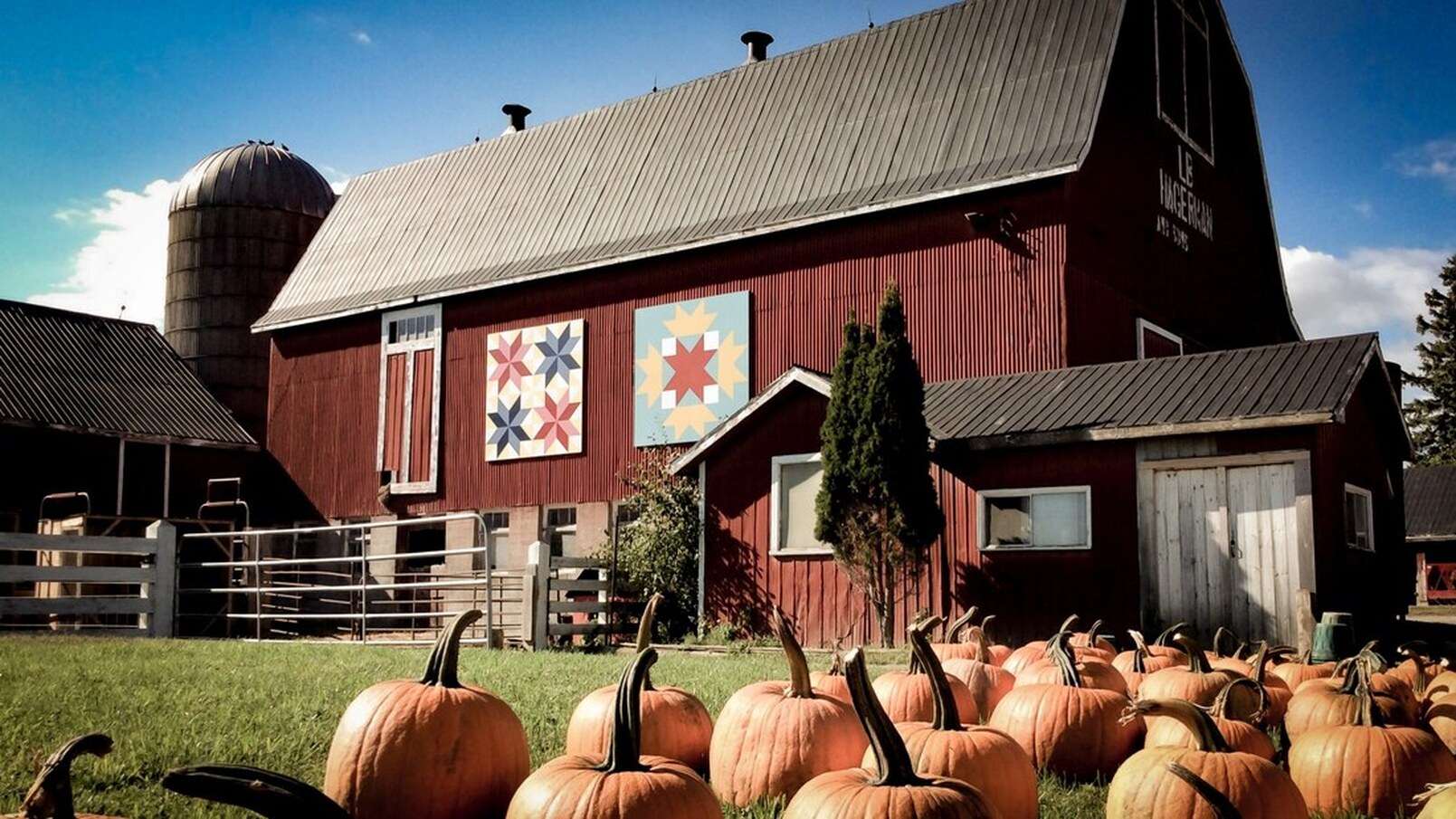 Here is a farm. In the background is a red barn and there are pumpkins in the front lawn