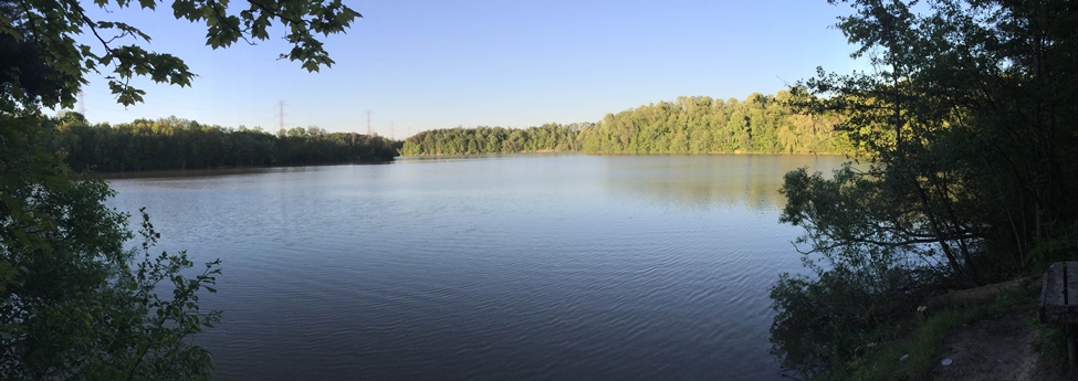 Picture of Dalewood Conservation Area 