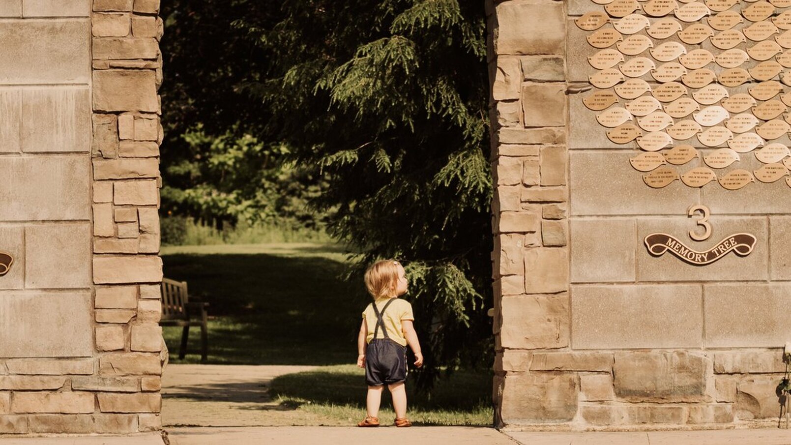 This picture features an arch way at Pinafore Parks' memory tree. on the other side of the wall are large pine trees. In the door was is a toddler looking at the memorial. She is wearing a yellow top with black overalls and brown moccasins.